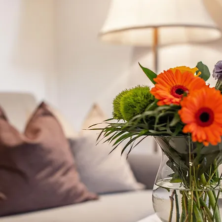 بيرغلاند شامل كليًا توب كواليتي